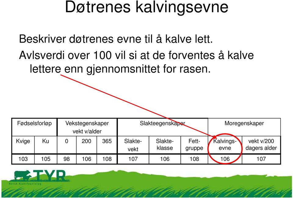 Avlsverdi over 100 vil si at de