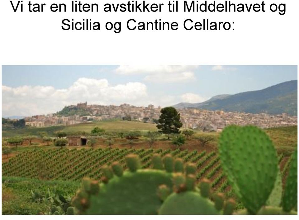 Middelhavet og