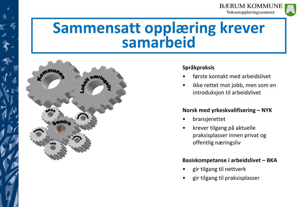 bransjerettet krever tilgang på aktuelle praksisplasser innen privat og offentlig