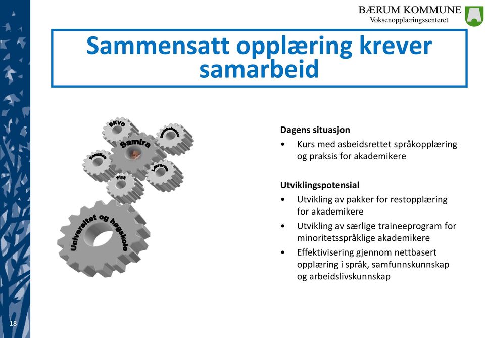 restopplæring for akademikere Utvikling av særlige traineeprogram for minoritetsspråklige