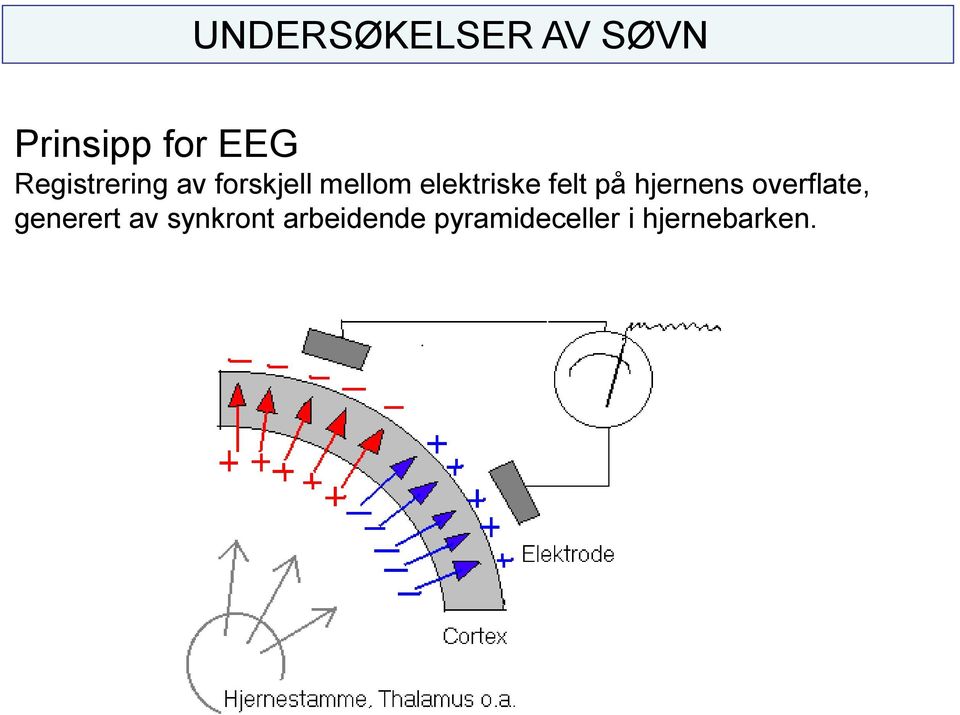 felt på hjernens overflate, generert av