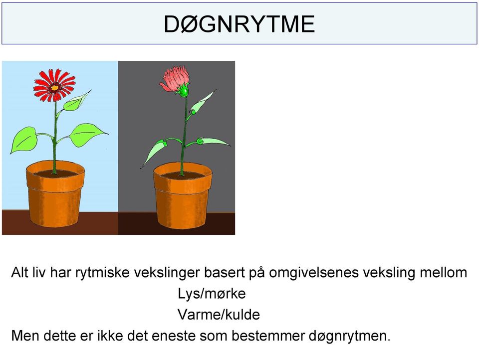 veksling mellom Lys/mørke Varme/kulde