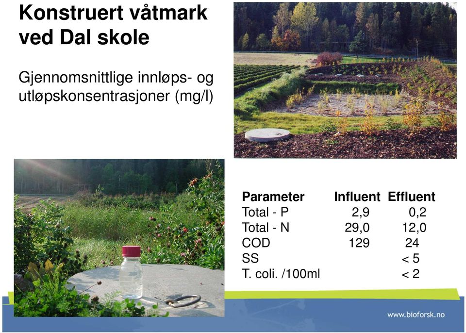 utløpskonsentrasjoner (mg/l) Parameter Influent