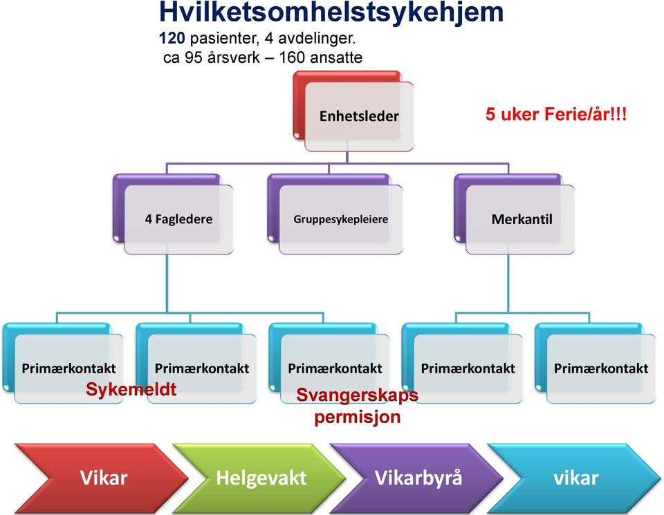 !! 4 Fagledere Gruppesykepleiere Merkantil Primærkontakt Primærkontakt