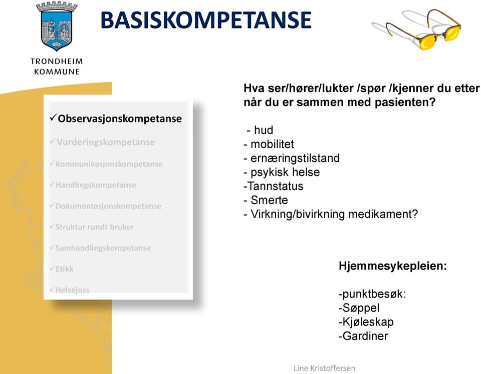 - hud - mobilitet - ernæringstilstand - psykisk helse -Tannstatus