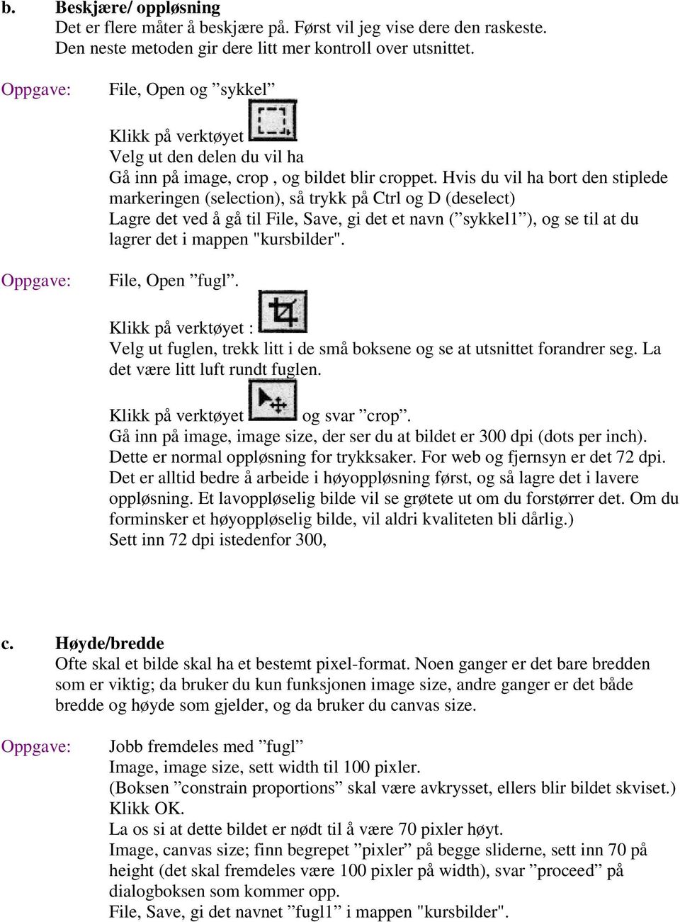 Hvis du vil ha bort den stiplede markeringen (selection), så trykk på Ctrl og D (deselect) Lagre det ved å gå til File, Save, gi det et navn ( sykkel1 ), og se til at du lagrer det i mappen