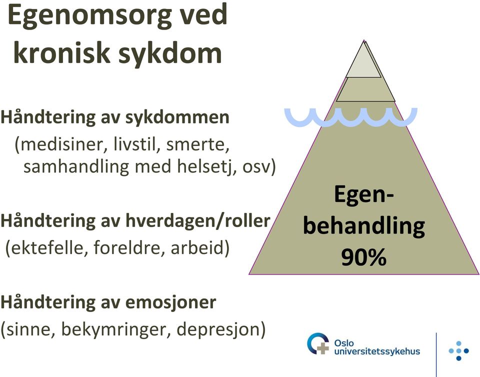 Håndtering av hverdagen/roller (ektefelle, foreldre, arbeid)