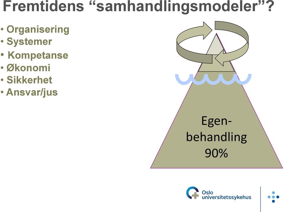 Organisering Systemer