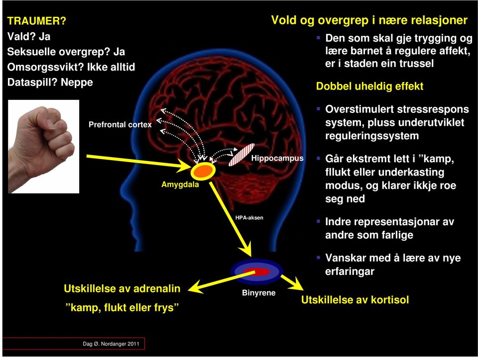 effekt Overstimulert stressrespons system, pluss underutviklet reguleringssystem Amygdala Hippocampus Går ekstremt lett i kamp, fllukt eller underkasting modus,