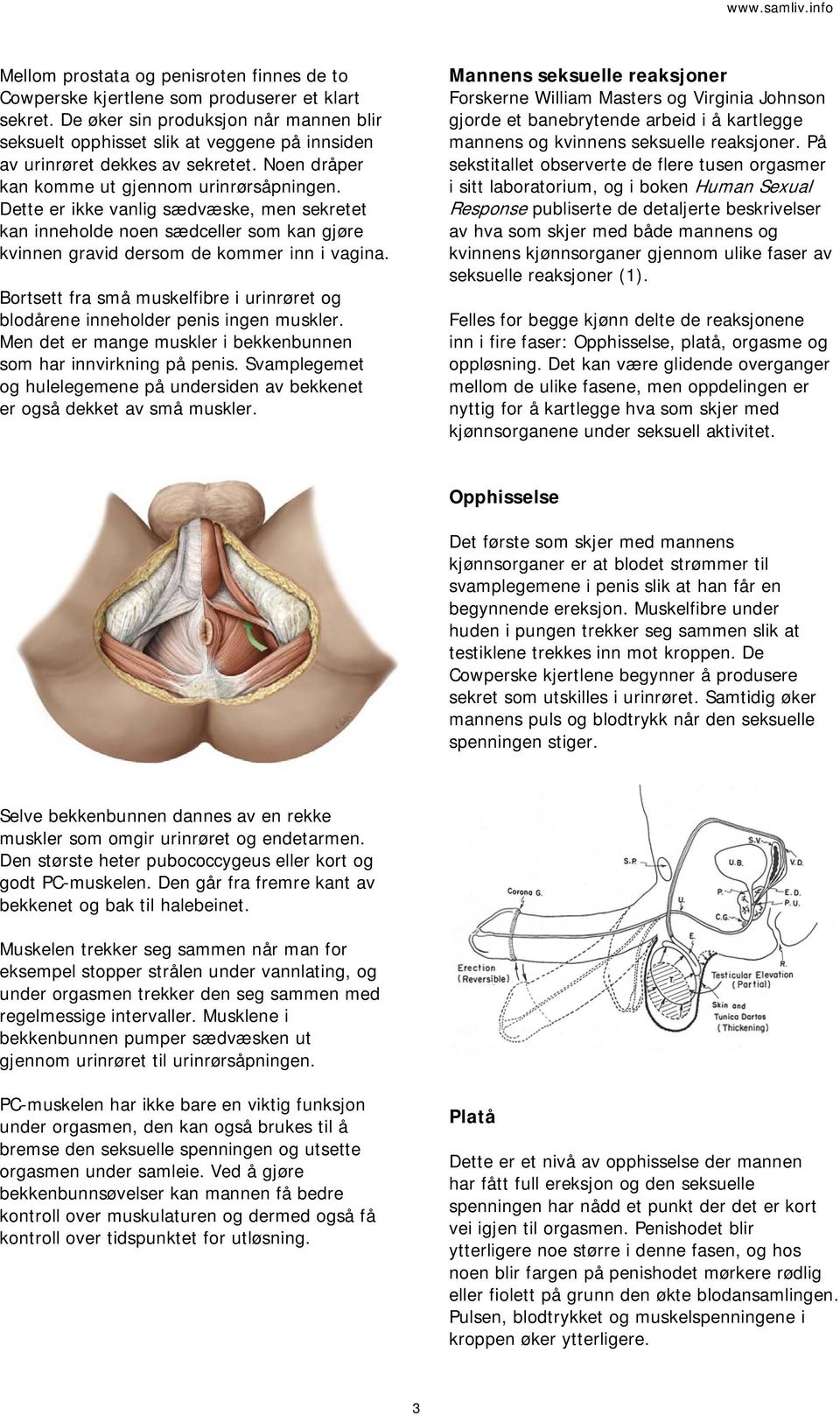 Dette er ikke vanlig sædvæske, men sekretet kan inneholde noen sædceller som kan gjøre kvinnen gravid dersom de kommer inn i vagina.