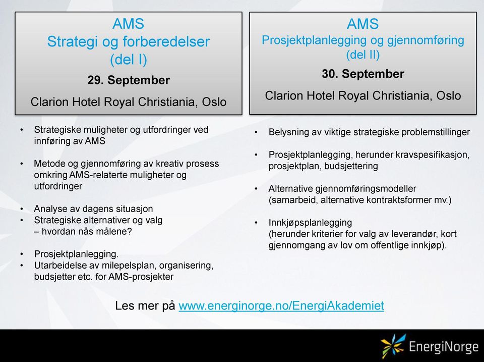 Analyse av dagens situasjon Strategiske alternativer og valg hvordan nås målene? Prosjektplanlegging. Utarbeidelse av milepelsplan, organisering, budsjetter etc.