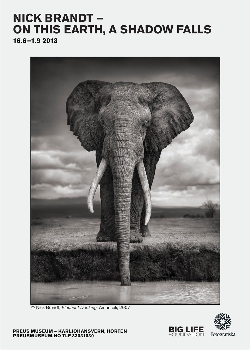 9 2013 Nick Brandt, Elephant Drinking,