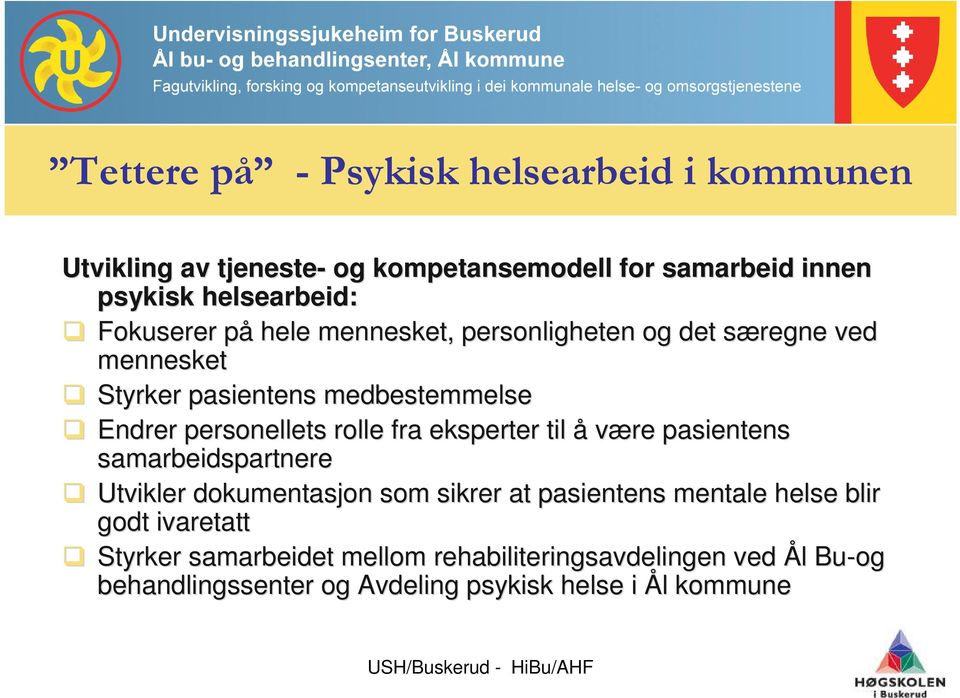 rolle fra eksperter til å være pasientens samarbeidspartnere Utvikler dokumentasjon som sikrer at pasientens mentale helse blir