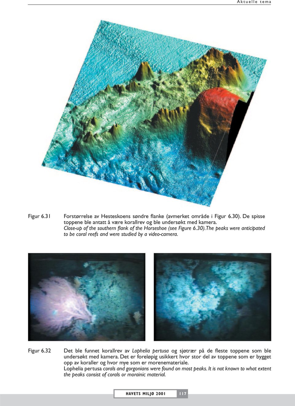 The peaks were anticipated to be coral reefs and were studied by a video-camera. Figur 6.
