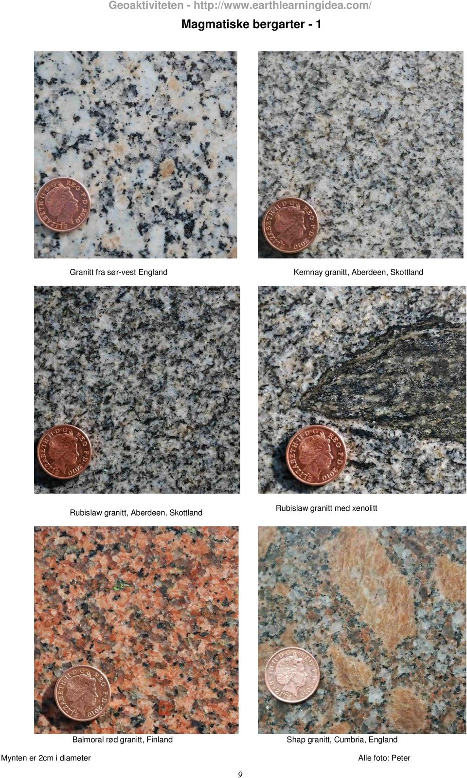 Skottland Rubislaw granitt med xenolitt Mynten er 2cm i diameter