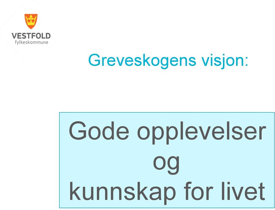 opplevelser og