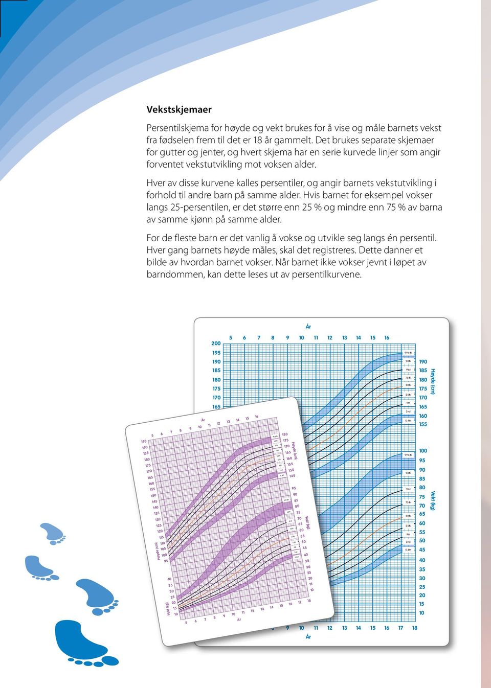 Hver av disse kurvene kalles persentiler, og angir barnets vekstutvikling i forhold til andre barn på samme alder.