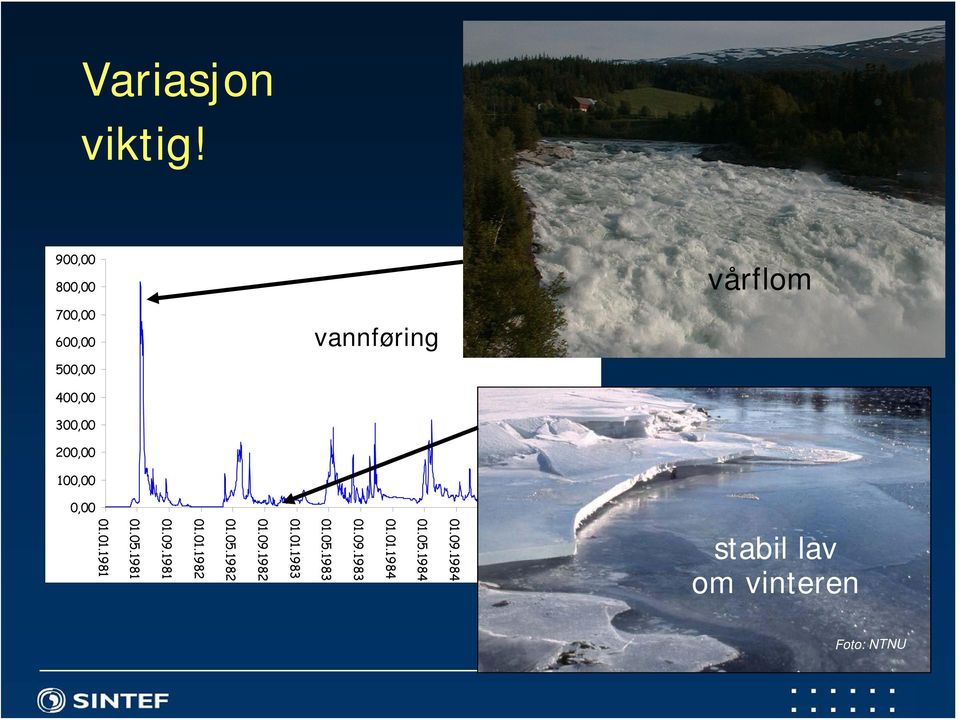 01.1983 Variasjon stabil lav om vinteren Foto: NTNU vannføring vårflom viktig!