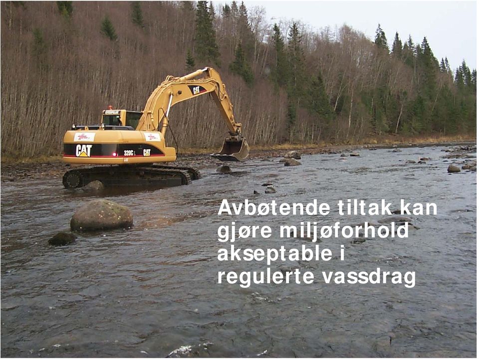 miljøforhold