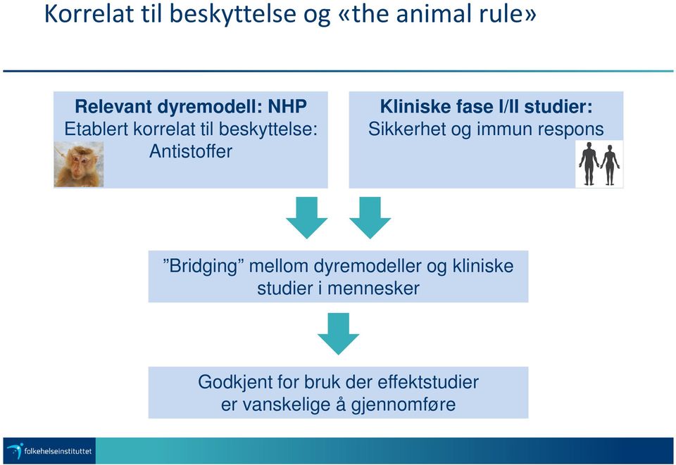 Sikkerhet og immun respons Bridging mellom dyremodeller og kliniske