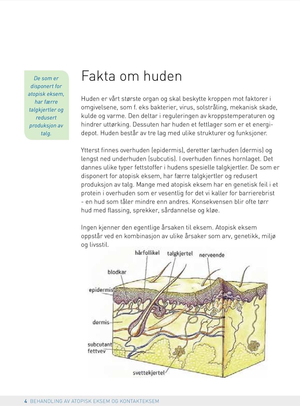 Huden består av tre lag med ulike strukturer og funksjoner. Ytterst finnes overhuden (epidermis), deretter lærhuden (dermis) og lengst ned underhuden (subcutis). I overhuden finnes hornlaget.