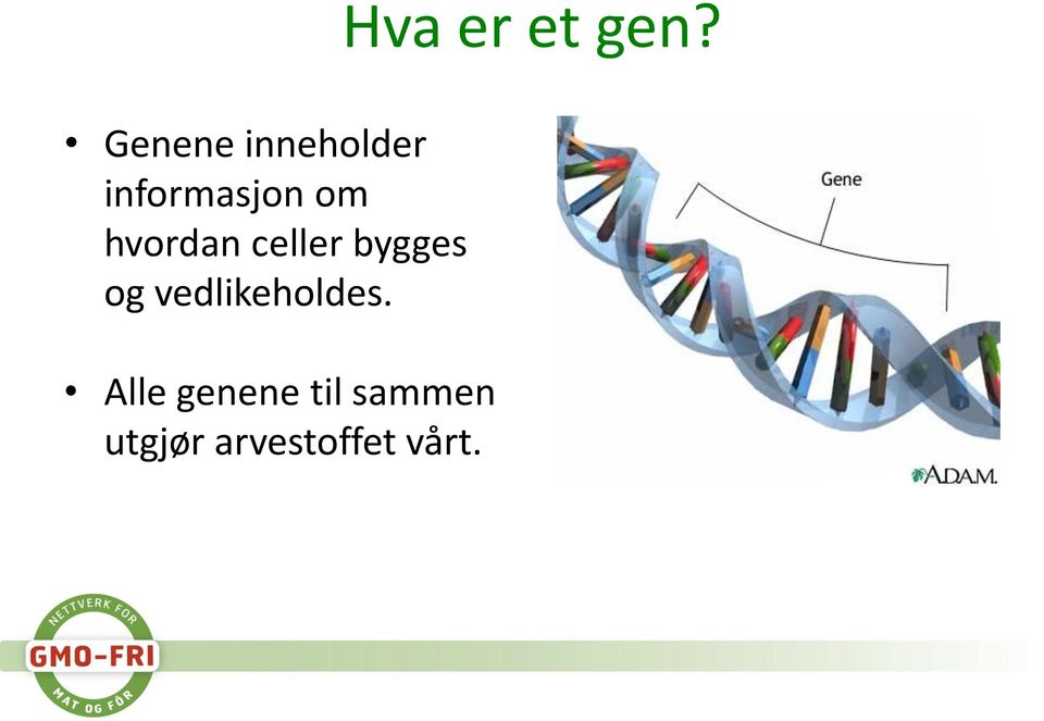 hvordan celler bygges og