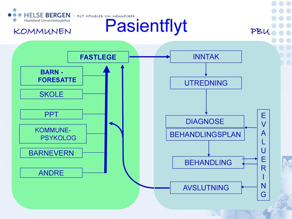 KOMMUNE- PSYKOLOG BARNEVERN ANDRE DIAGNOSE