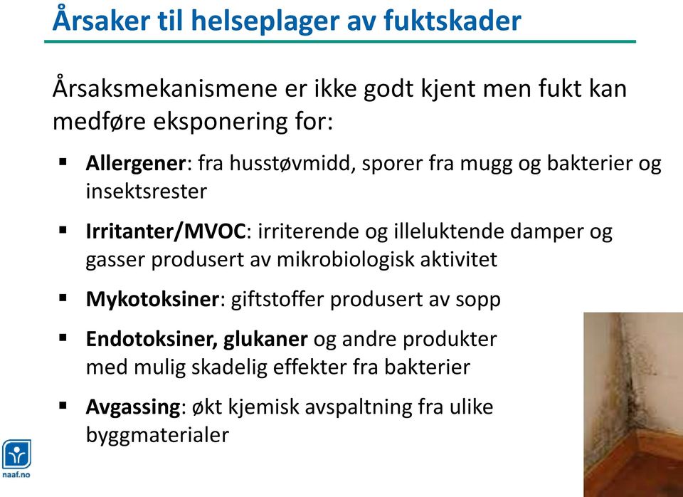 illeluktende damper og gasser produsert av mikrobiologisk aktivitet Mykotoksiner: giftstoffer produsert av sopp