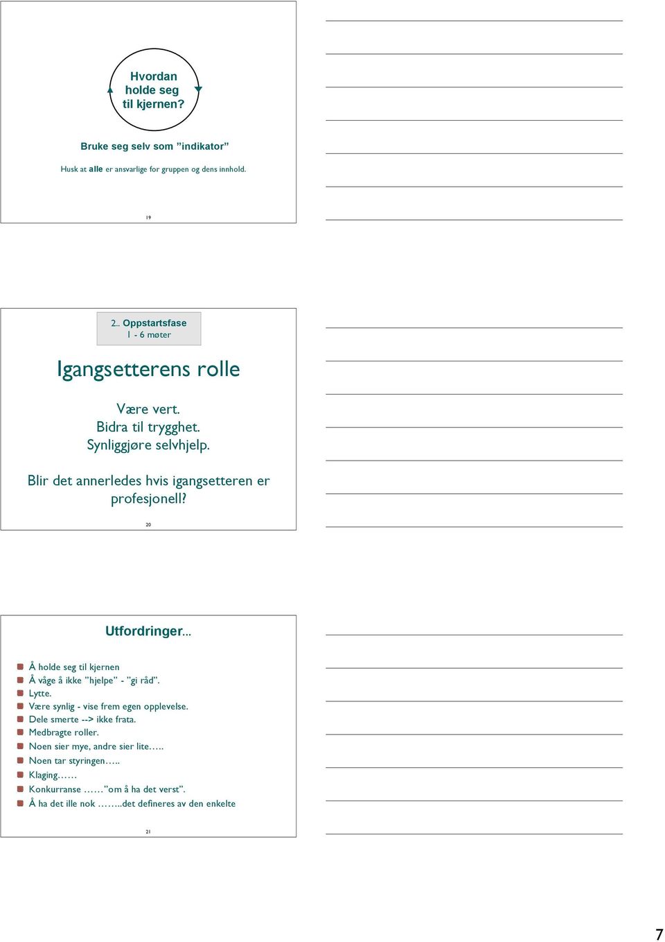 Blir det annerledes hvis igangsetteren er profesjonell? 20 Utfordringer... Å holde seg til kjernen Å våge å ikke hjelpe - gi råd. Lytte.