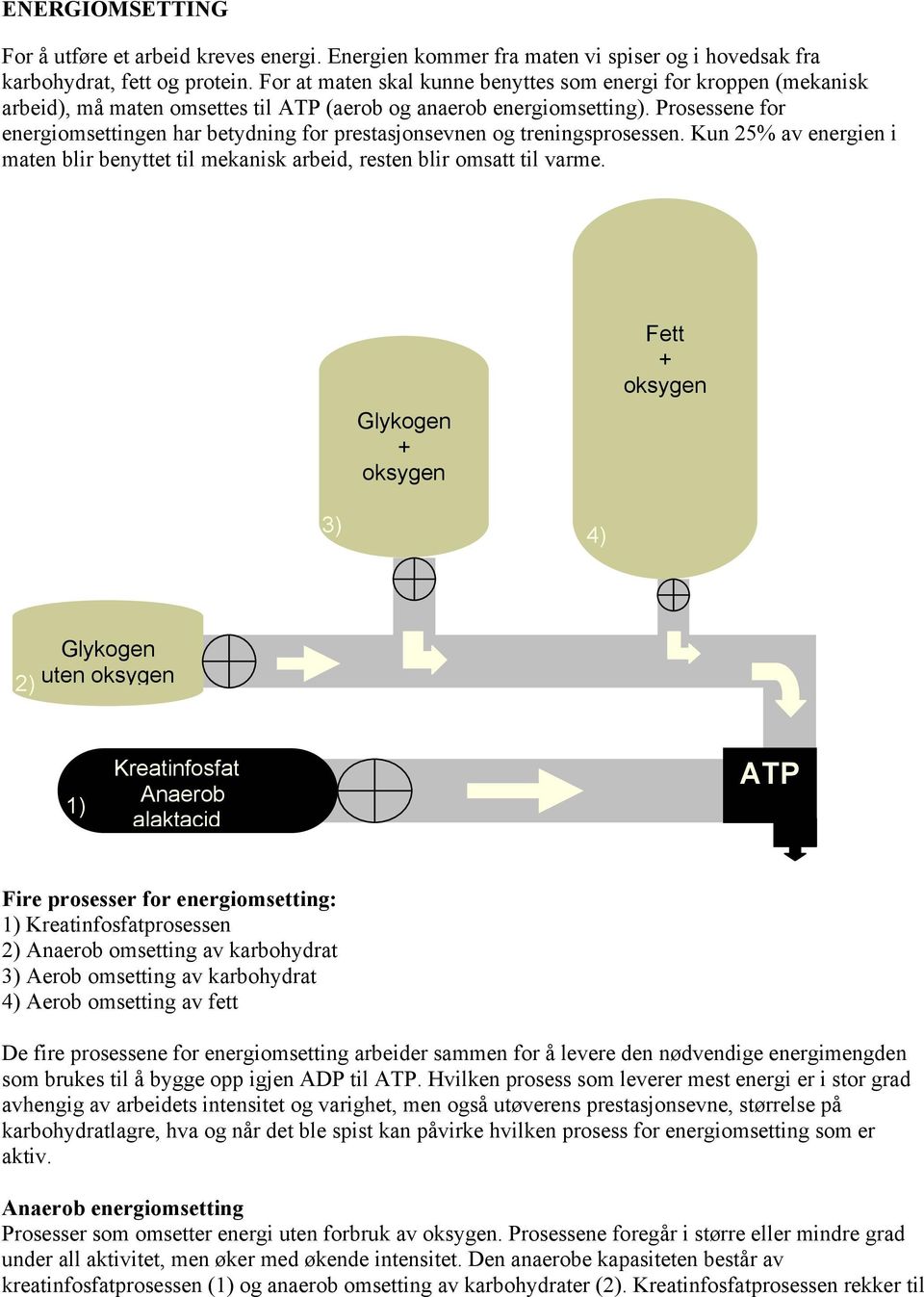 Prosessene for energiomsettingen har betydning for prestasjonsevnen og treningsprosessen. Kun 25% av energien i maten blir benyttet til mekanisk arbeid, resten blir omsatt til varme.