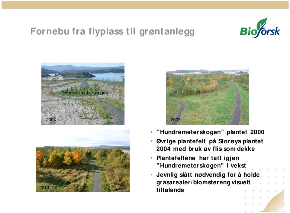 med bruk av flis som dekke Plantefeltene har tatt igjen Hundremeterskogen i