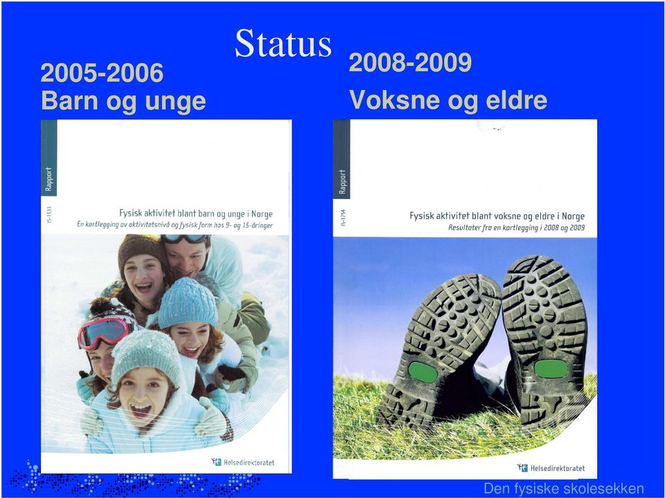 2008-2009 Voksne og