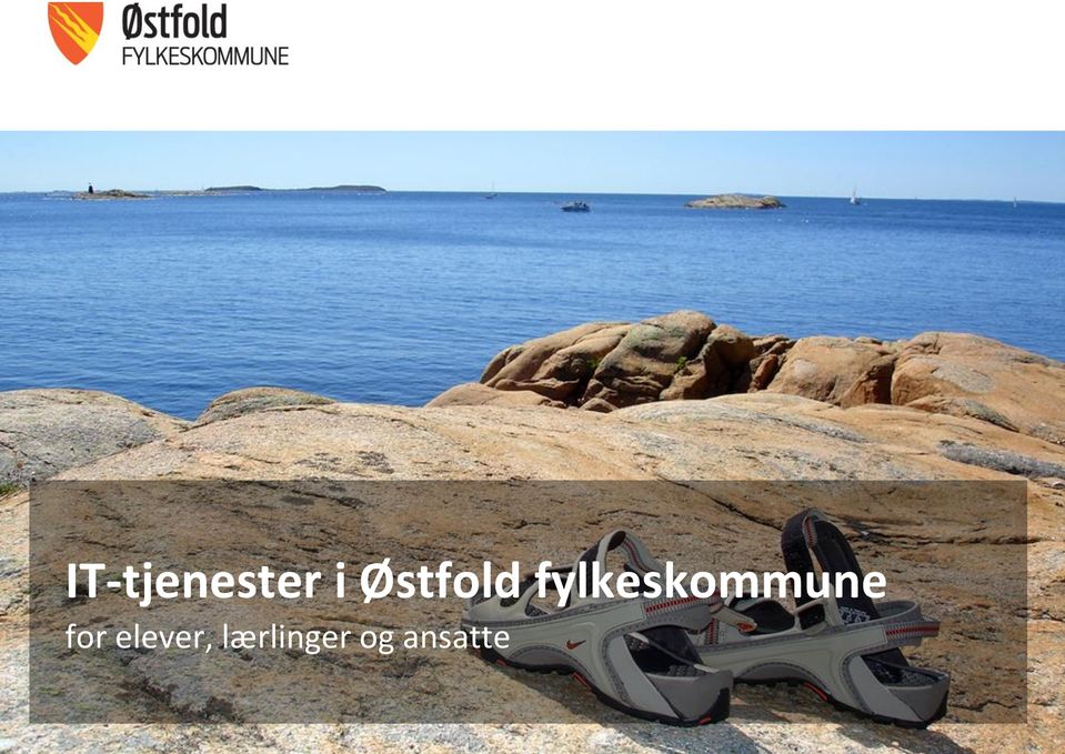 fylkeskommune for