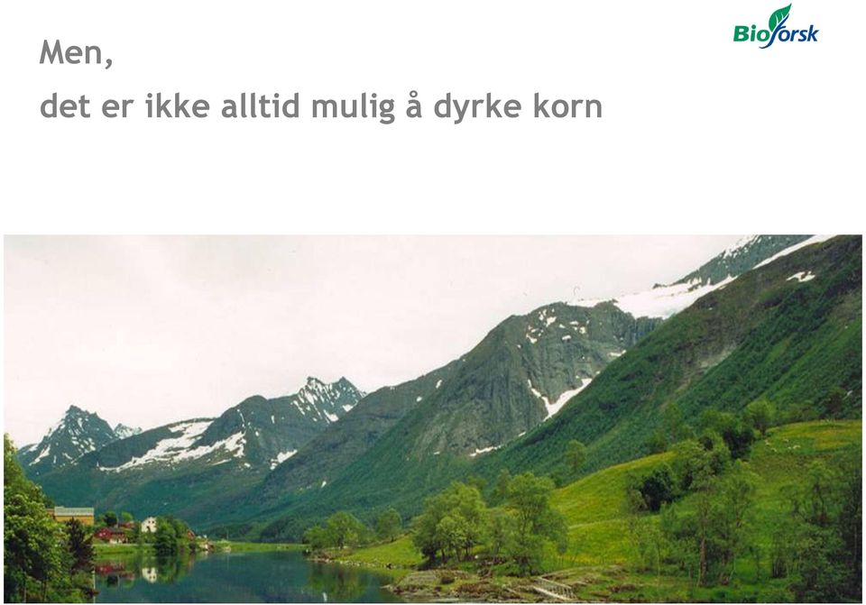 alltid