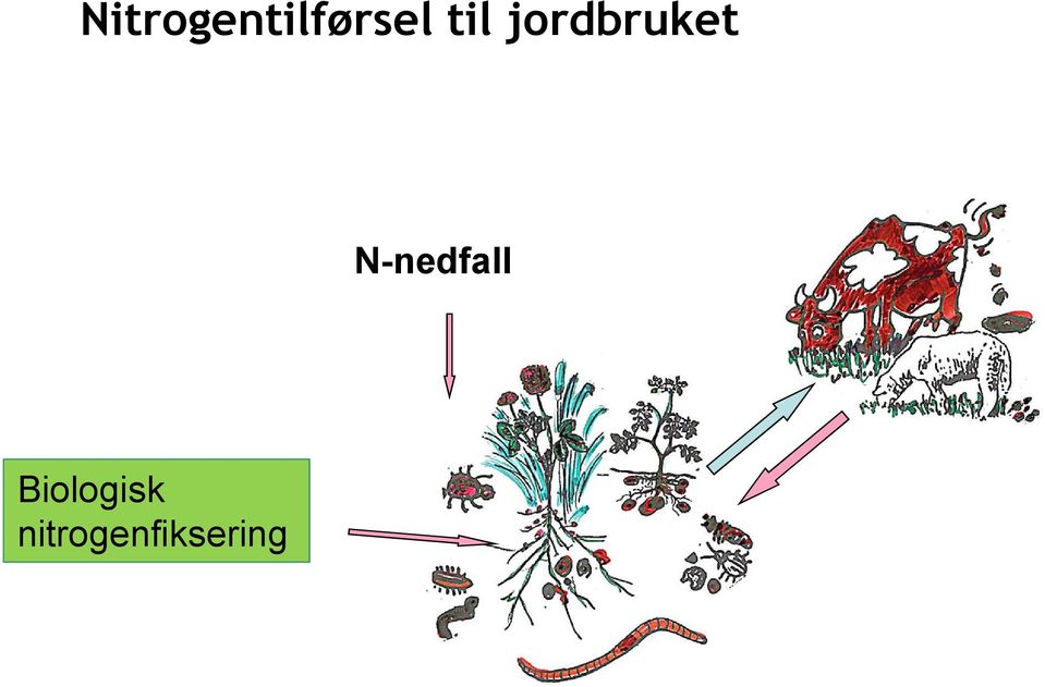 N-nedfall