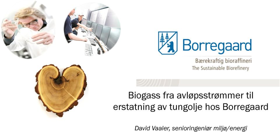 hos Borregaard David