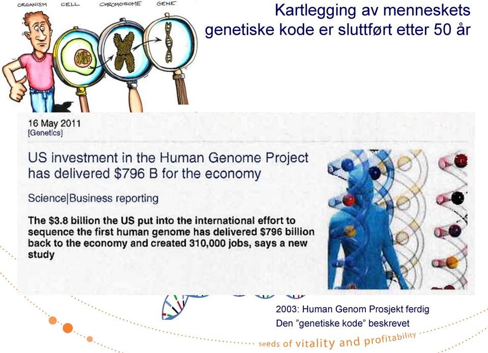 strukturen beskrevet DNA-heliks 2003: