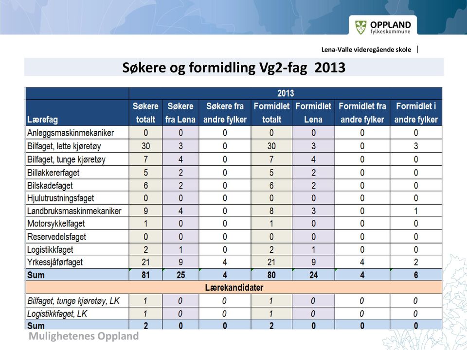 Vg2-fag 2013