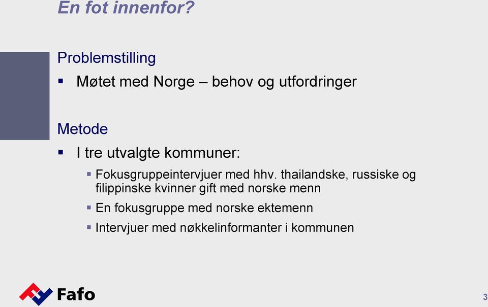 utvalgte kommuner: Fokusgruppeintervjuer med hhv.