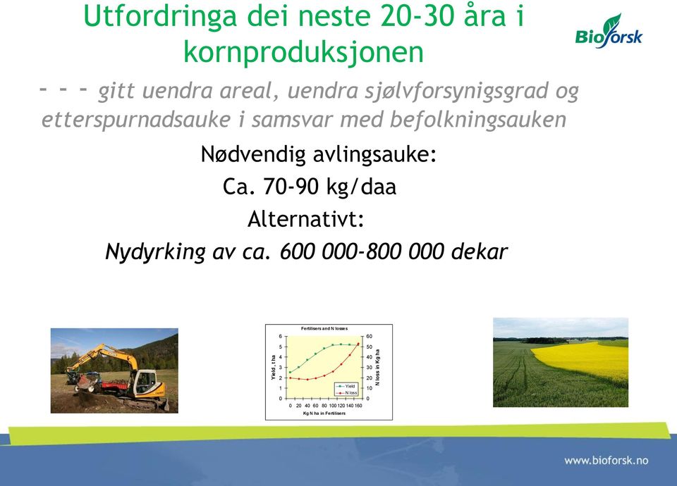 avlingsauke: Ca. 70-90 kg/daa Alternativt: Nydyrking av ca.