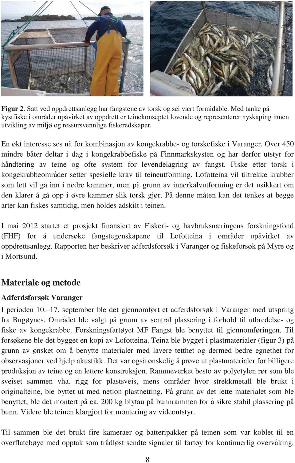 En økt interesse ses nå for kombinasjon av kongekrabbe- og torskefiske i Varanger.