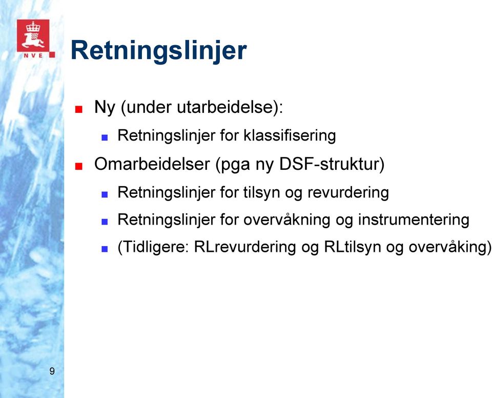 Retningslinjer for tilsyn og revurdering Retningslinjer for