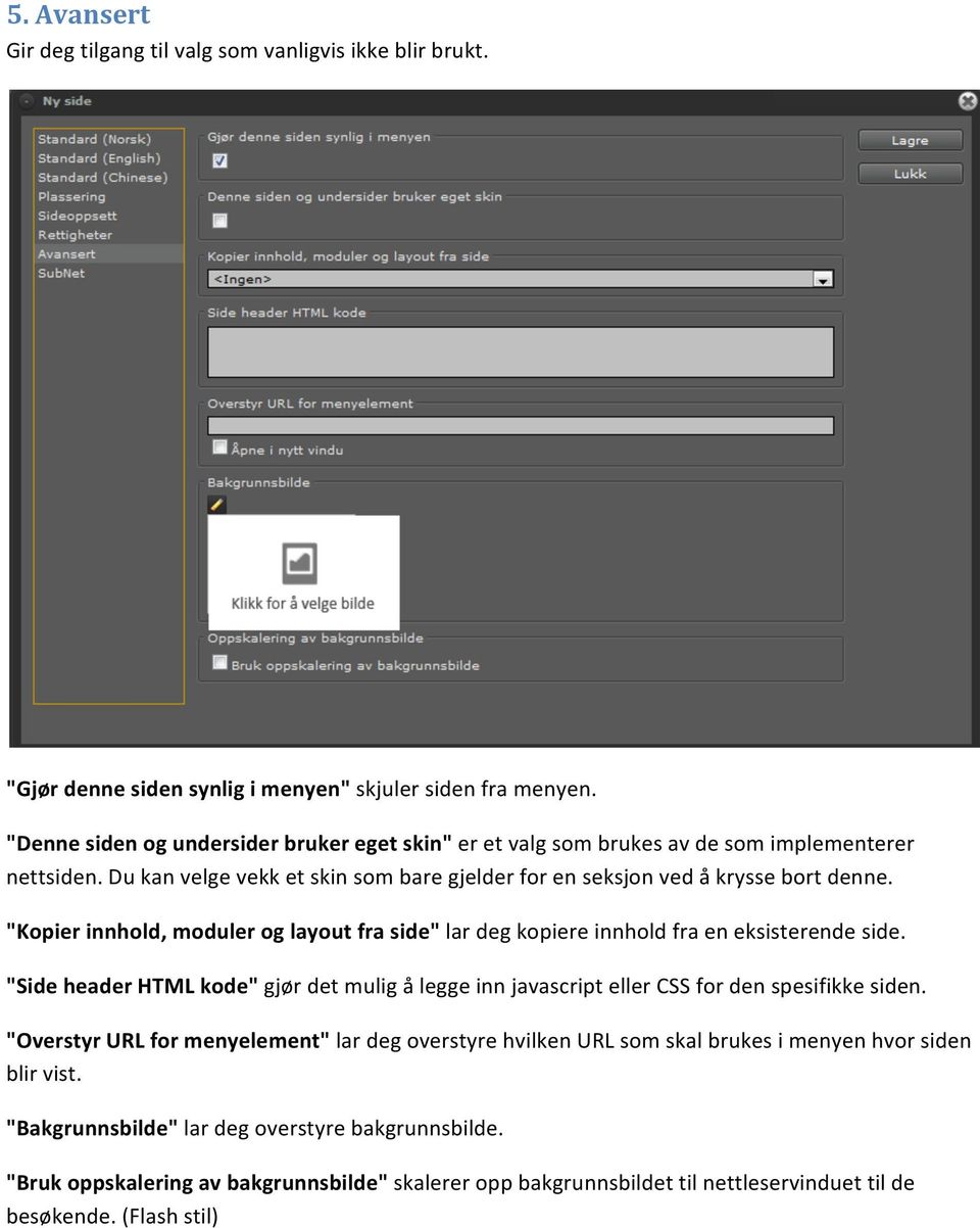 "Kopier innhold, moduler og layout fra side" lar deg kopiere innhold fra en eksisterende side. "Side header HTML kode" gjør det mulig å legge inn javascript eller CSS for den spesifikke siden.