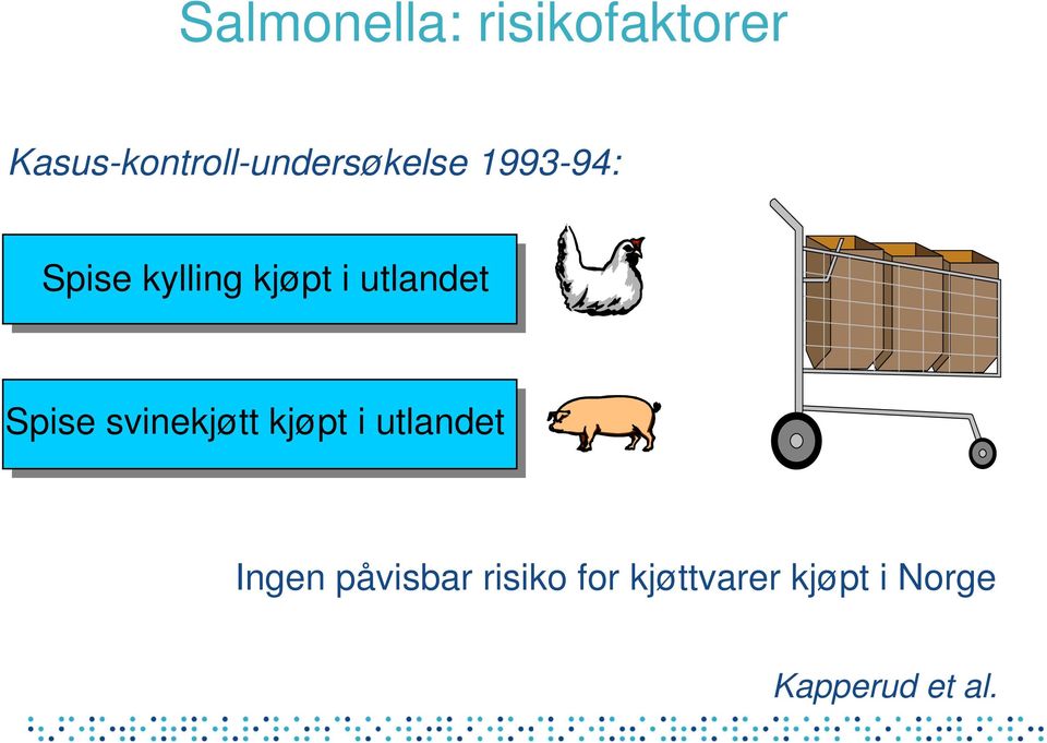 kylling kjøpt i utlandet Spise svinekjøtt kjøpt