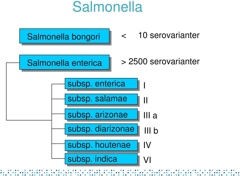 enterica subsp. salamae subsp. arizonae subsp.