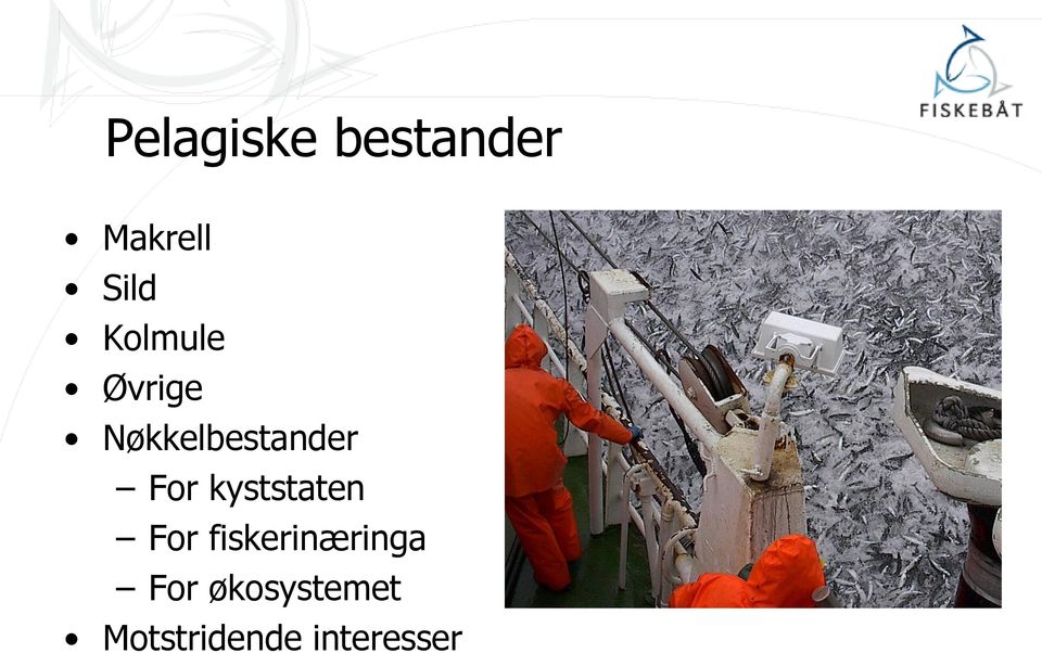 kyststaten For fiskerinæringa For