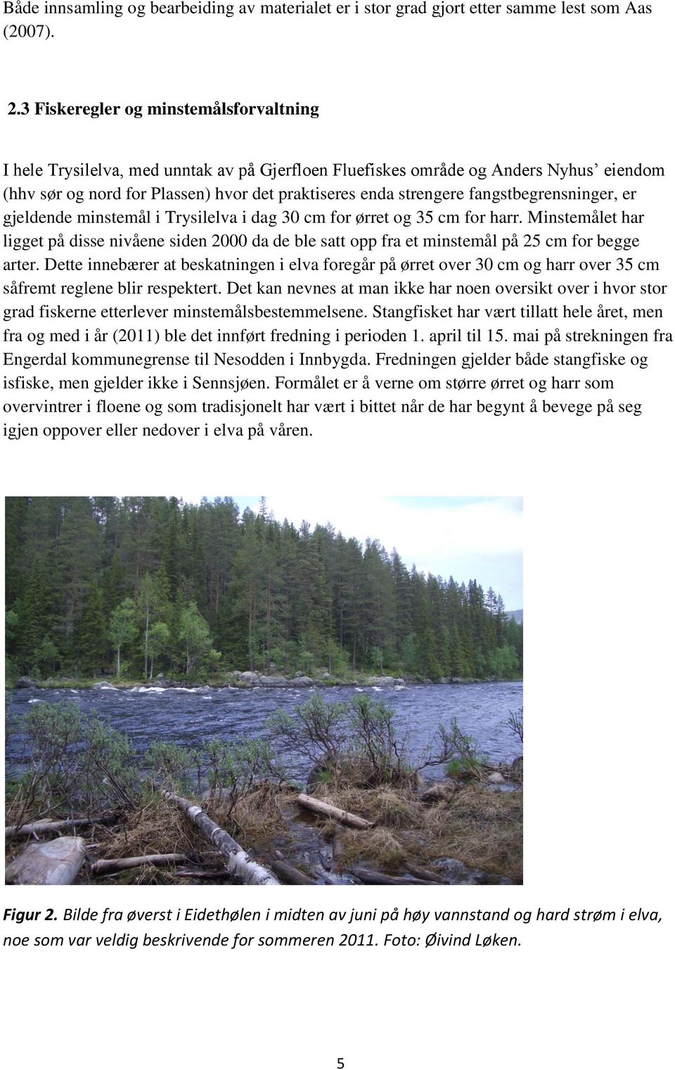 fangstbegrensninger, er gjeldende minstemål i Trysilelva i dag 30 cm for ørret og 35 cm for harr.