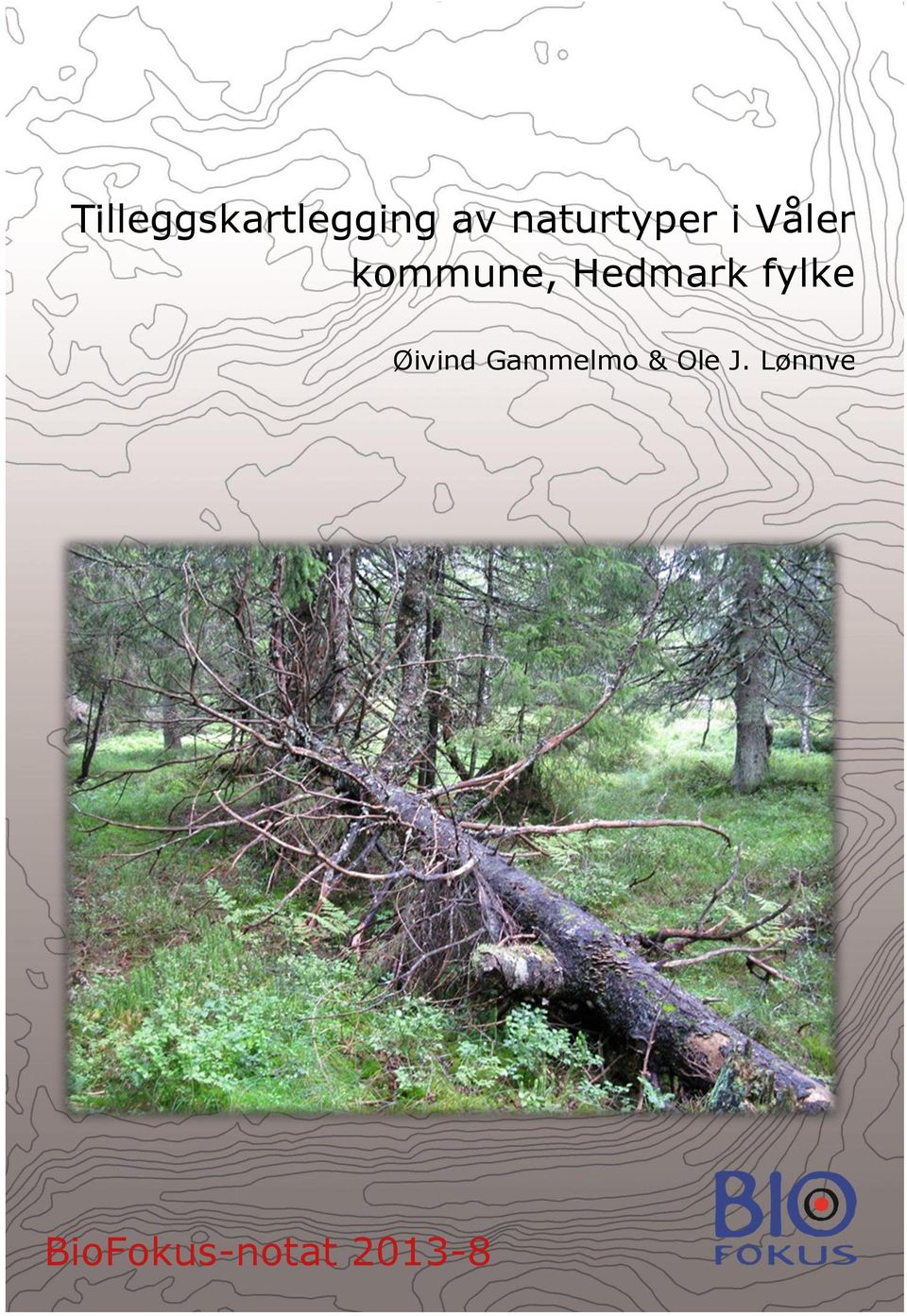 Hedmark fylke Øivind Gammelmo