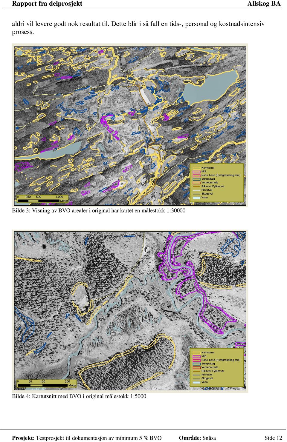 Bilde 3: Visning av BVO arealer i original har kartet en målestokk 1:30000 Bilde 4: