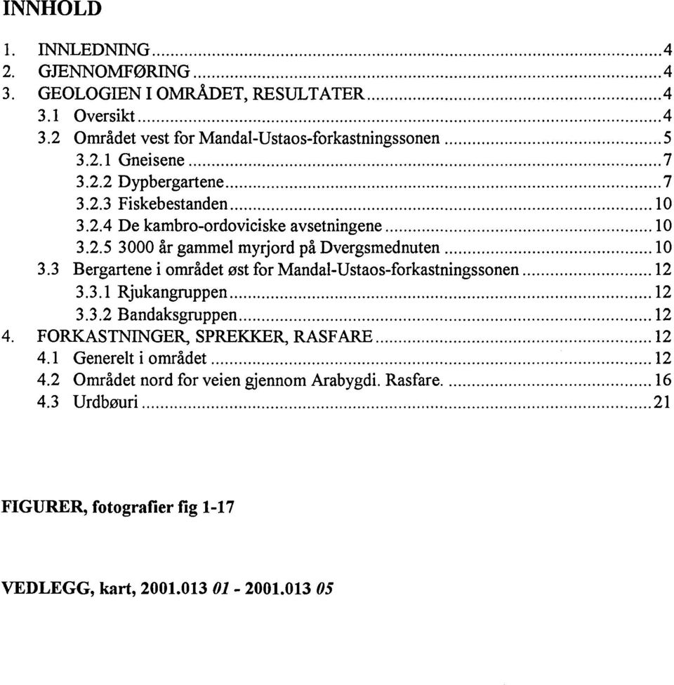 .. 12 3.3.1 Rjukangruppen... 12 3.3.2 Bandaksgruppen... 12 4. FORKASTNINGER, SPREKKER, RASFARE... 12 4.1 Generelt i området... 12 4.2 Området nord for veien gjennom Arabygdi.